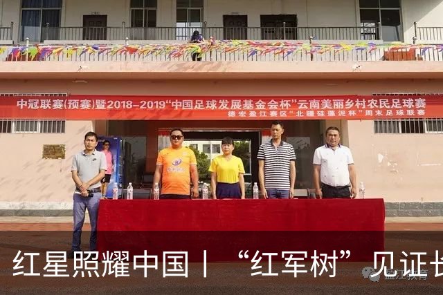 红星照耀中国丨“红军树”见证长征路